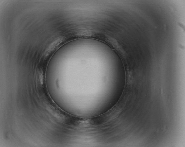 X0000103330068200809121220