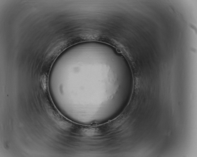 X0000103330069200809121220