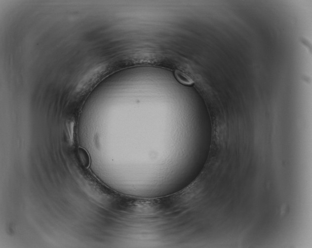 X0000103330070200809121220