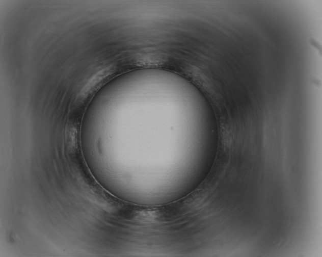 X0000103330071200809121220