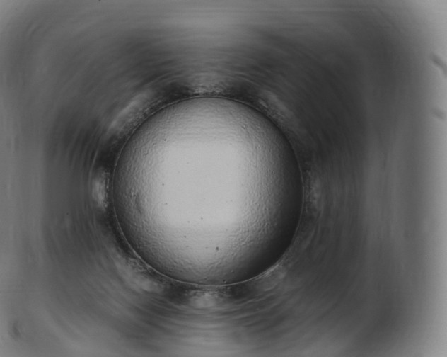 X0000103330074200809121220