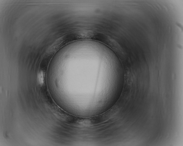 X0000103330075200809121220