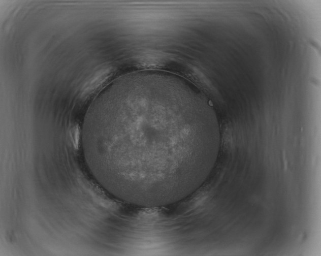 X0000103330076200809121220