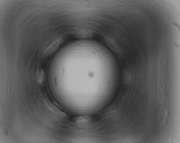 X0000103330077200809121220