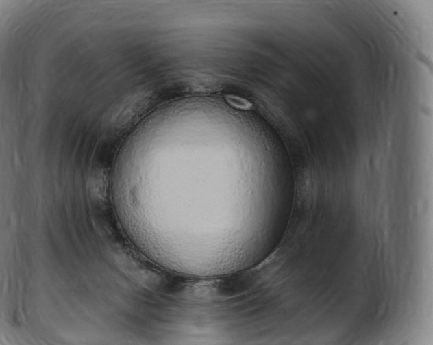 X0000103330078200809121220