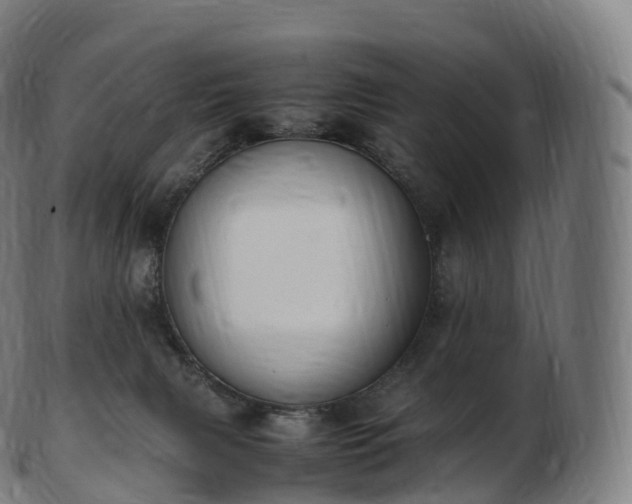 X0000103330079200809121220