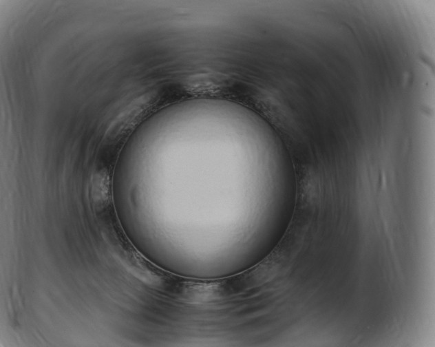 X0000103330081200809121220