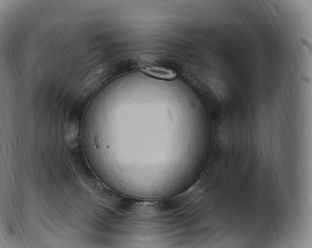 X0000103330082200809121220