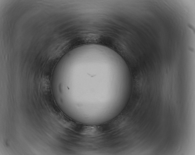 X0000103330083200809121220