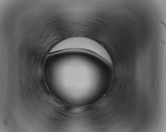 X0000103330084200809121220