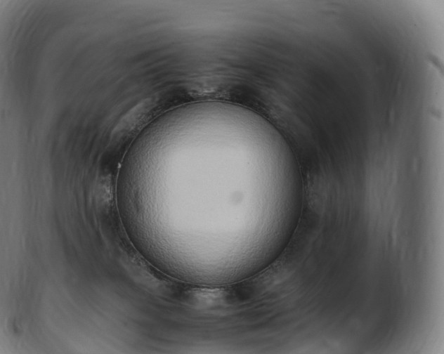 X0000103330085200809121220