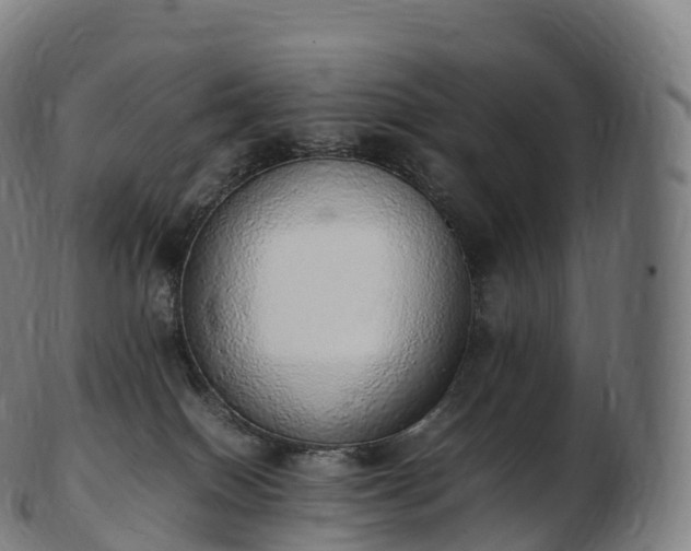 X0000103330086200809121220