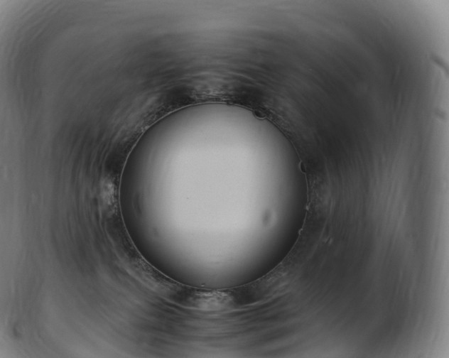 X0000103330087200809121220