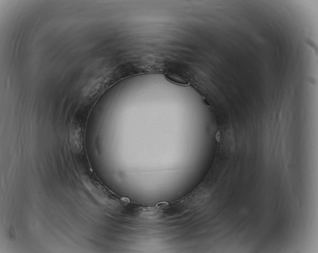 X0000103330088200809121220