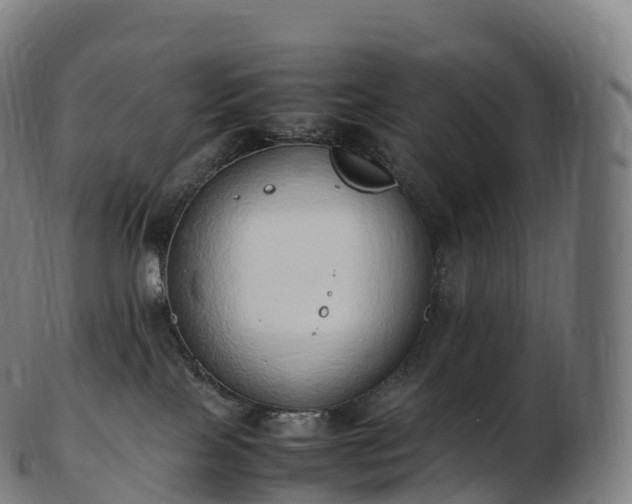 X0000103330089200809121220