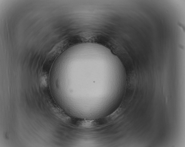 X0000103330090200809121220