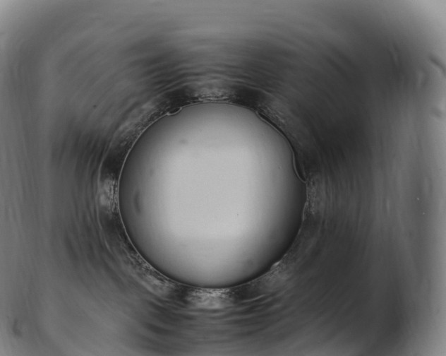 X0000103330093200809121220