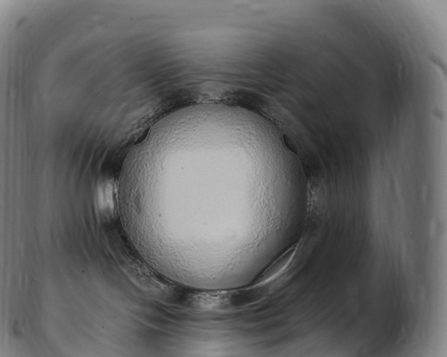 X0000103330094200809121220