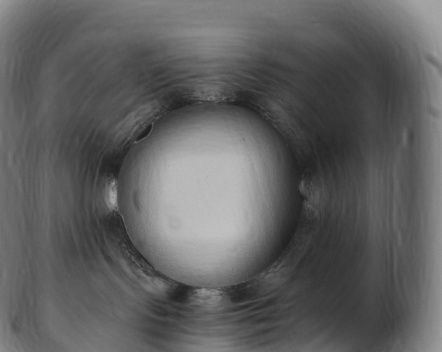 X0000103330095200809121220