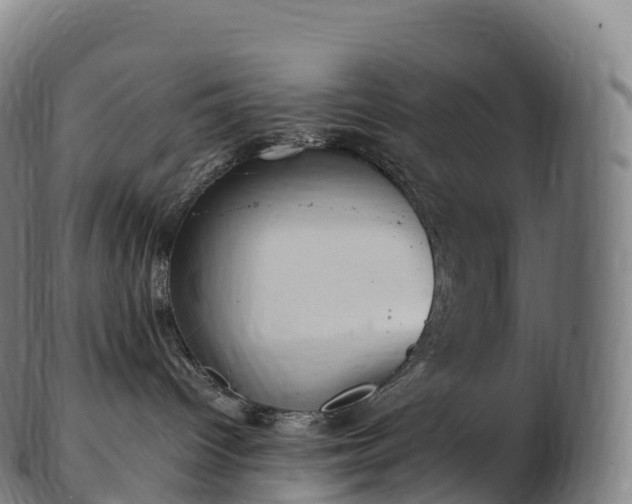 X0000103330096200809121220