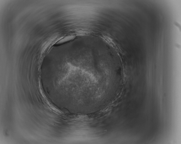 X0000103330097200809121219