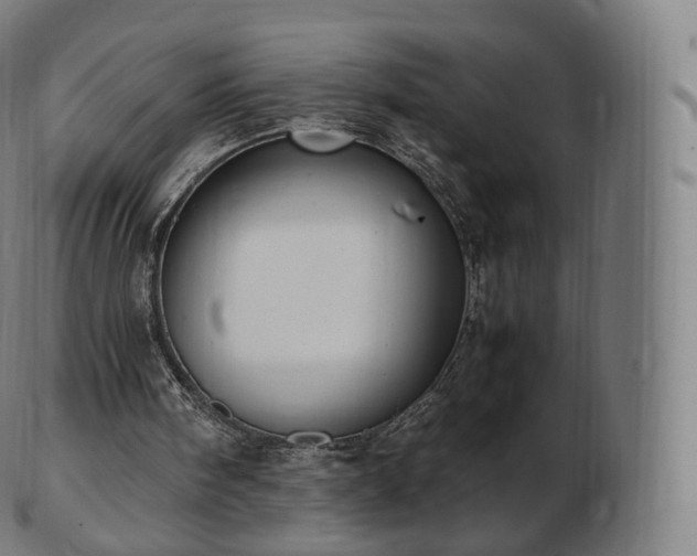 X0000103330098200809121219