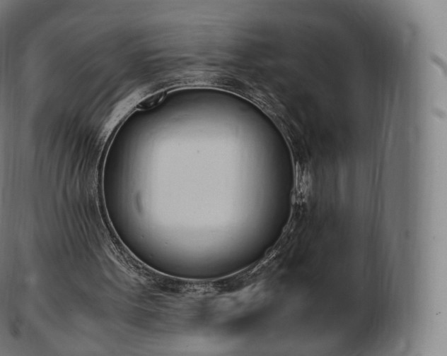 X0000103330099200809121219