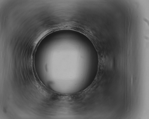 X0000103330100200809121219