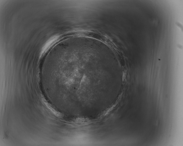 X0000103330101200809121219