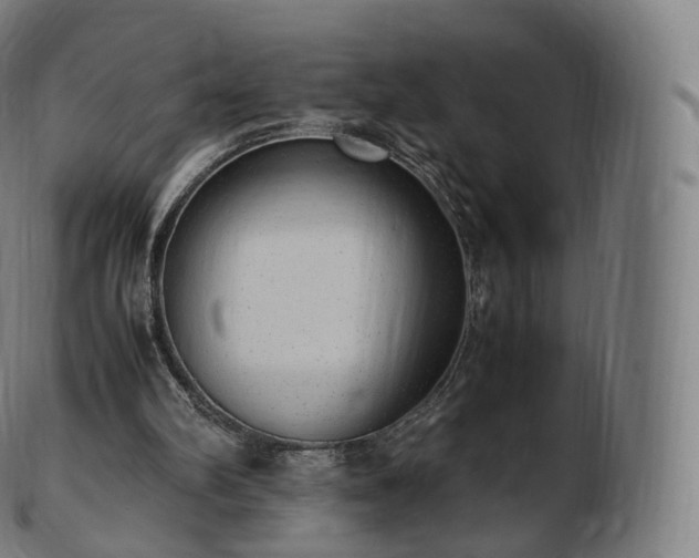 X0000103330102200809121219