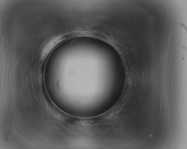 X0000103330103200809121219