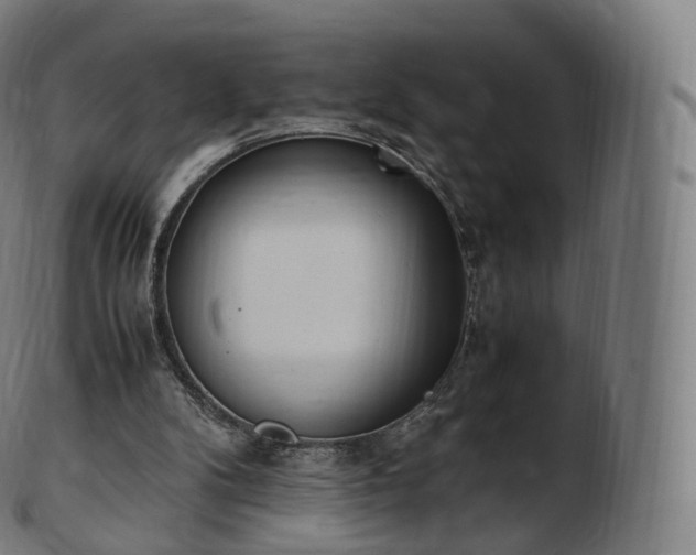 X0000103330104200809121219