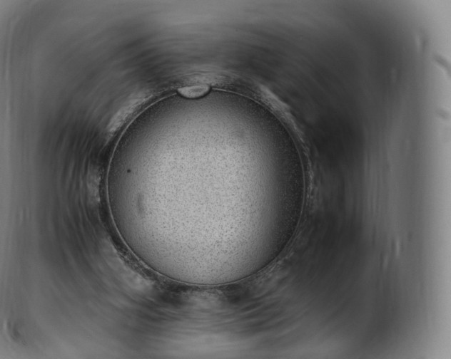 X0000103330106200809121219