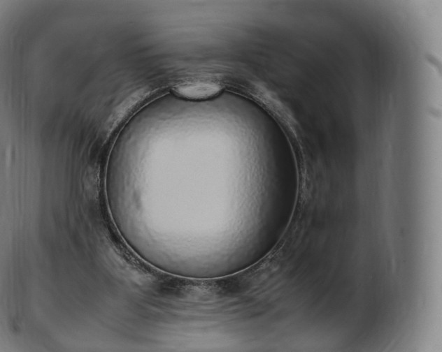 X0000103330107200809121219