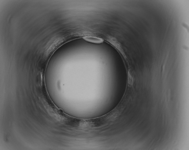 X0000103330109200809121219