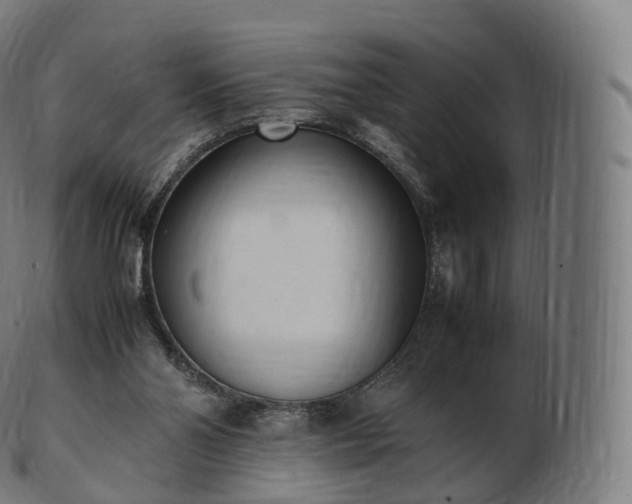 X0000103330110200809121219