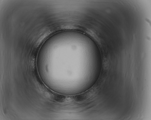 X0000103330111200809121219