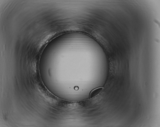 X0000103330112200809121219