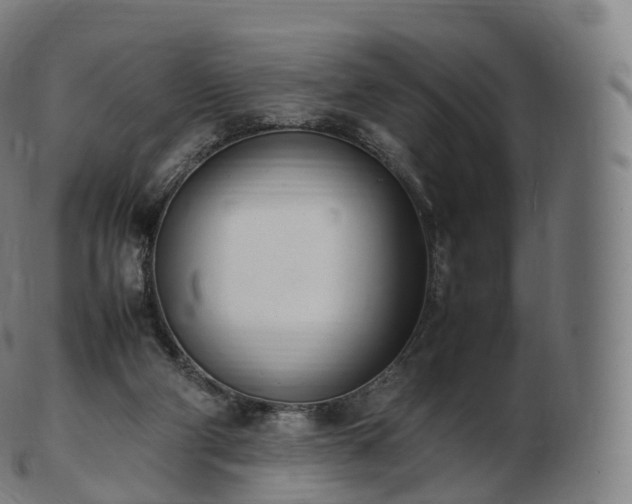 X0000103330114200809121219