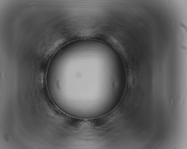 X0000103330115200809121219