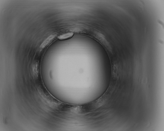 X0000103330116200809121219