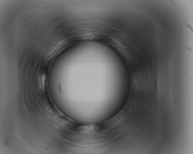 X0000103330118200809121219