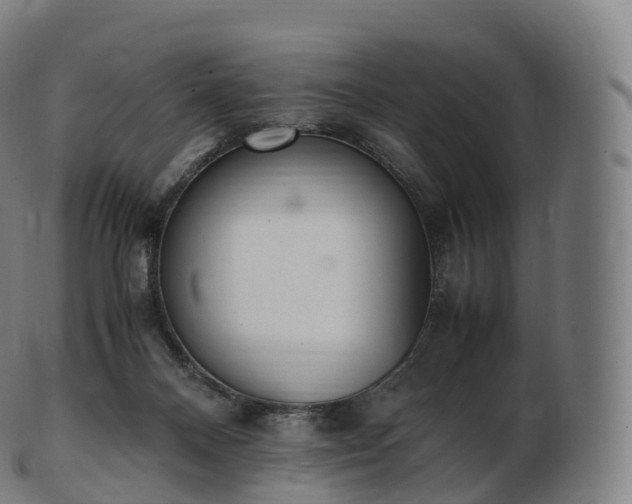 X0000103330120200809121219