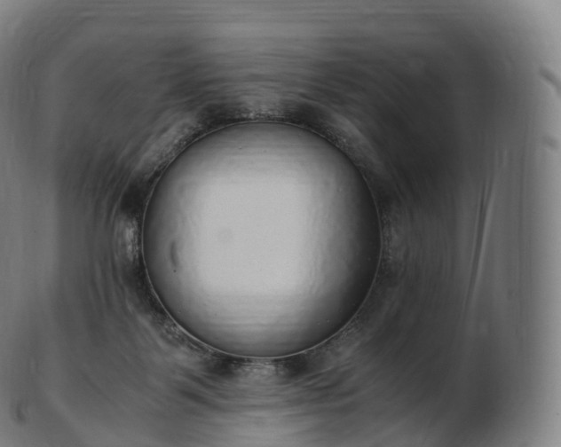 X0000103330123200809121219