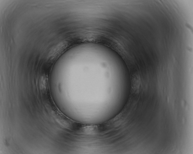 X0000103330126200809121219