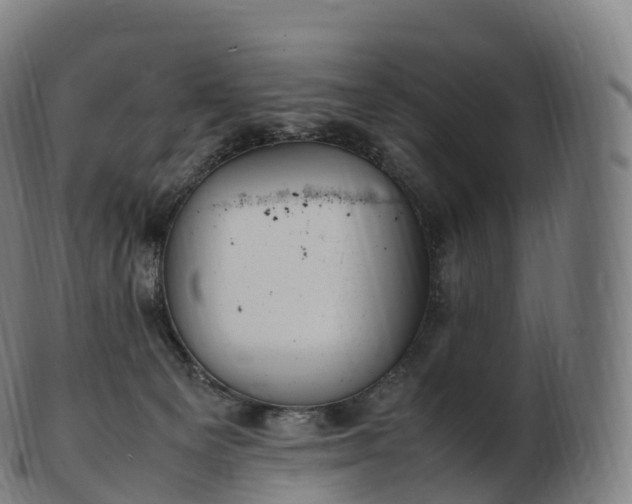 X0000103330129200809121219