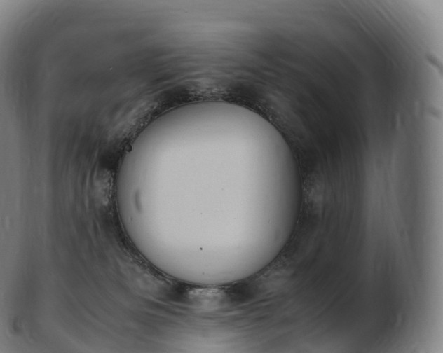 X0000103330133200809121219