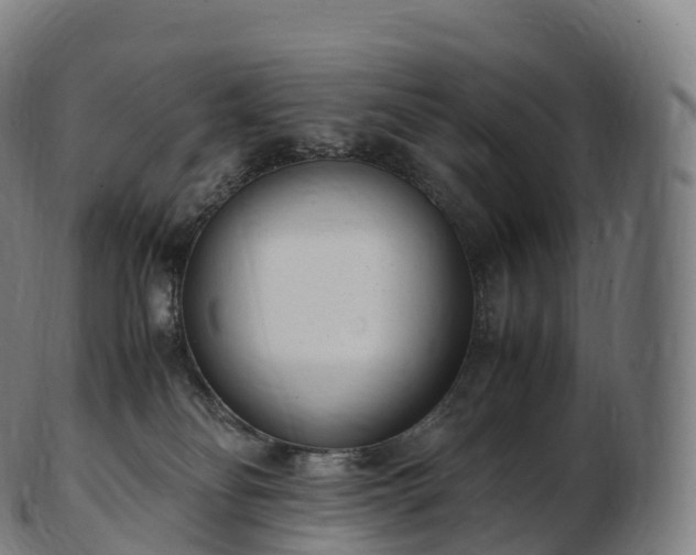 X0000103330134200809121219