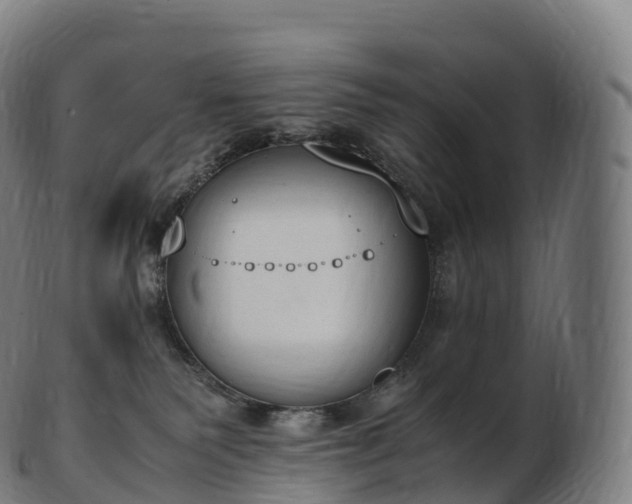 X0000103330135200809121219