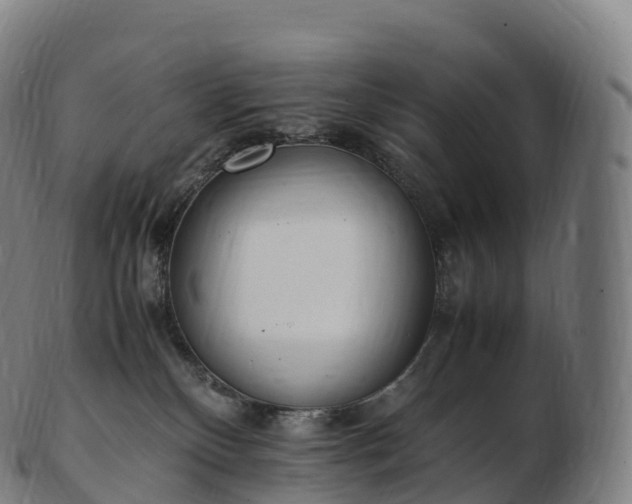 X0000103330136200809121219